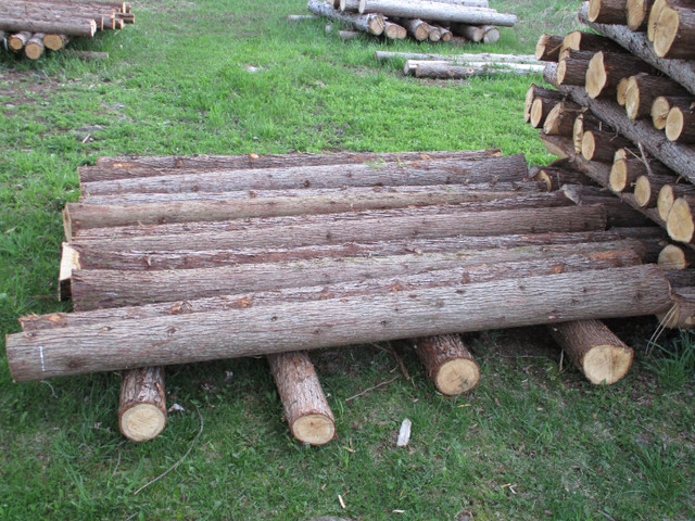 Cedar Posts for Sale in Decks & Fences in Cornwall - Image 4