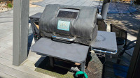 Pellet smoker with pizza oven
