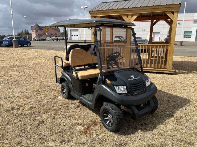 Electric Golf Cart in Other in Truro - Image 2