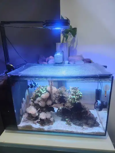 Fluval 13.5 gallon  Sea Marine Aquarium, View more