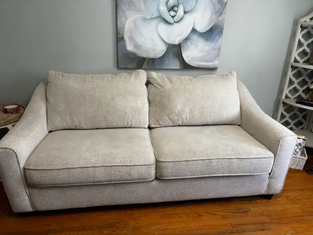 decor rest in Couches & Futons in Norfolk County - Image 2