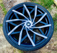 22 Inch Mazzi Rim with Toyo Sport Tire 