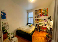 Sublet of 1 or 2 rooms in a 3 bed apartment close to McGill