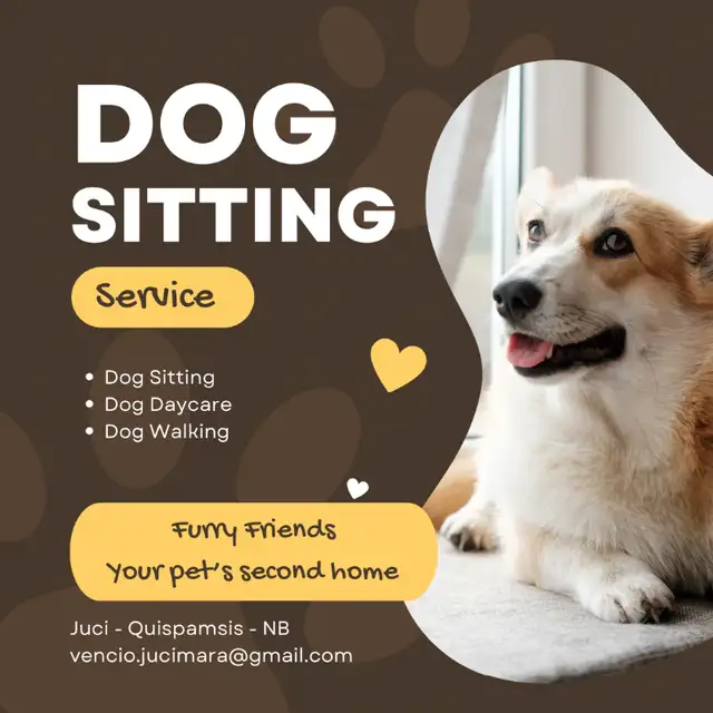 Dog sitter in Quispamsis in Animal & Pet Services in Saint John - Image 2