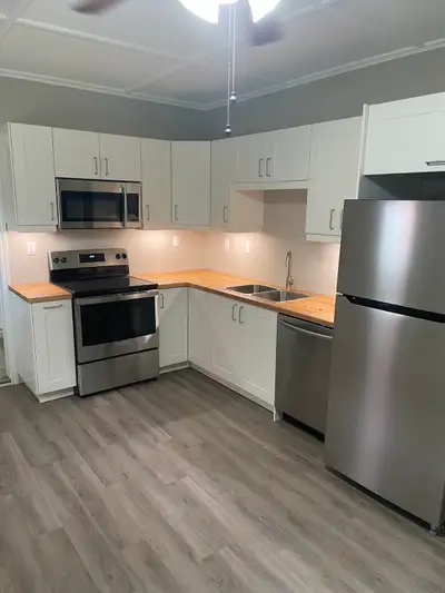 2 bedroom, 1 bath main floor apartment just off Main Street in downtown Ailsa Craig. On site parking...