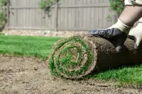 Sod Makes Your New House a Home