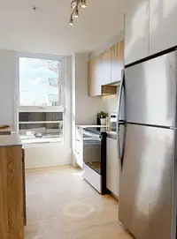SOLAR UNIQUARTIER -looking for a roomate for September 1st