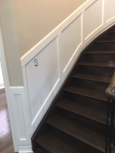 PROFESSIONAL PAINTER553848940780605447