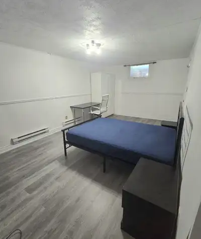 Looking for a comfortable, private space in a prime location? This large basement bedroom is perfect...