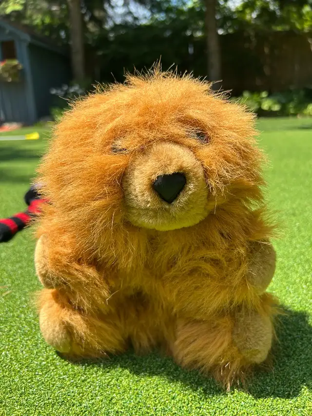 Golf club head covers - assorted new and retro in Golf in Markham / York Region - Image 4