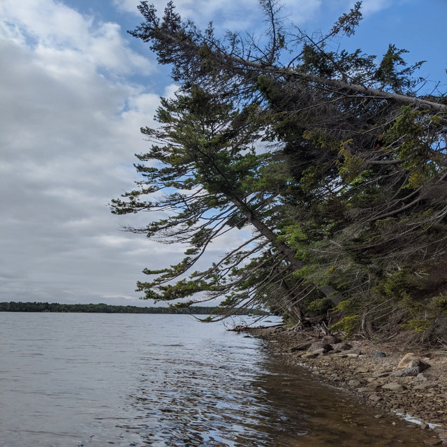 Beautiful Waterfront & Upland Property Land for Sale Cape Breton