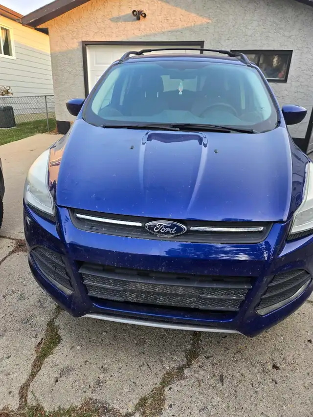 2013 Ford Escape 533919335994501122