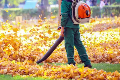 lawn care - leaf removal, View more