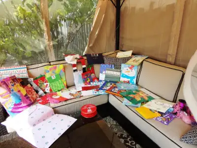 Large collection of 40+ Gift Bags, Ribbon Rolls, Gift Wrap &More, View more