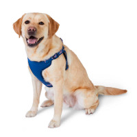 NEW XL Blue No Pull Adjustable Dog Harness