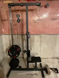 Lat Pulldown and Seated Row