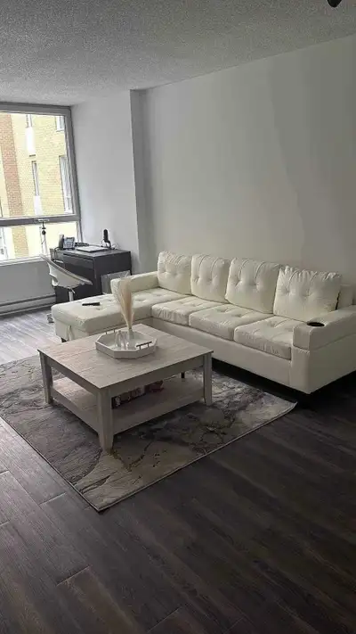 White Leather Sectional Sofa with Chaise Lounge, View more
