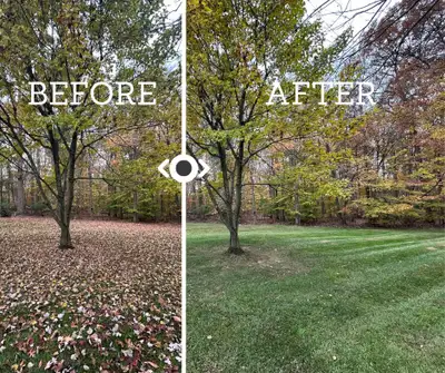 Lawn Care - Leaf Cleanup , View more