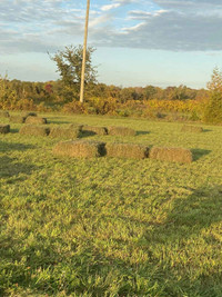 Second Cut Square Bale Hay for Sale