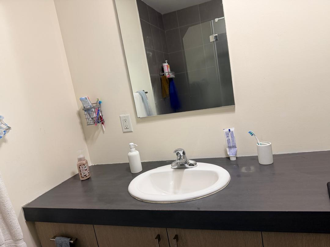 Sous-location — photo 2