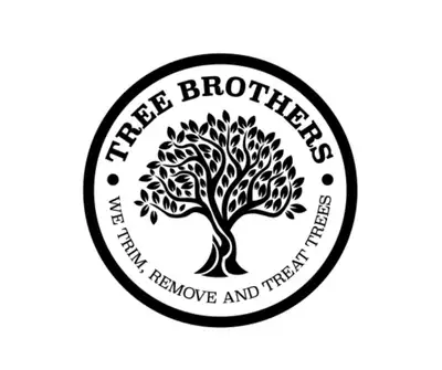 Tree service, View more