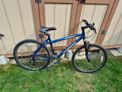 Lightweight Iron horse Desperado mountain bike, View more