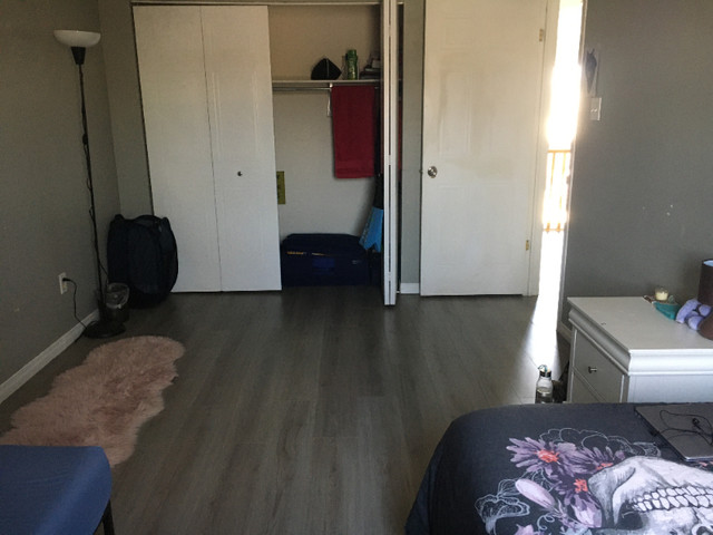 Shared Room For Sublet Guelph in Room Rentals & Roommates in Guelph - Image 3