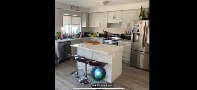 Roommates needed