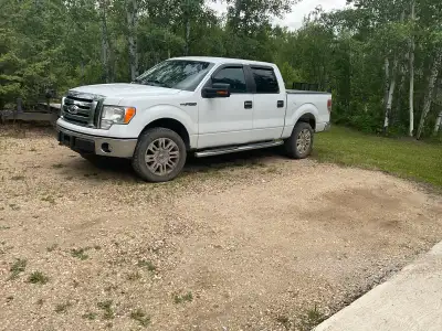 2011 F150 crew cab, 5.0 lt engine. Low Kms.