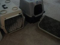Cat and Dog carrier and cat shelf for window, and poo poo place