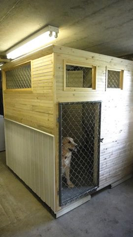 Pension pour chien dans Services pour animaux  à Trois-Rivières