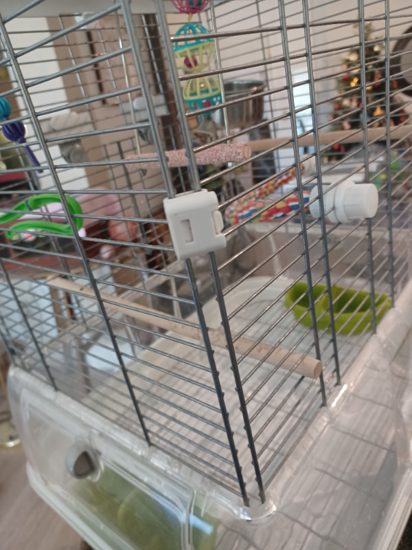 M01 smallVision birdcage great shape in Accessories in Abbotsford