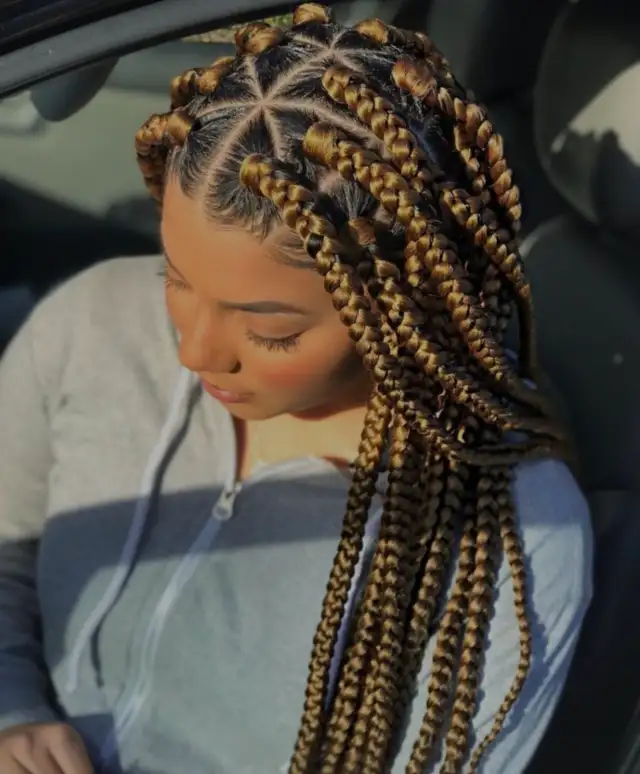 Braids in Hamilton64988210664705121