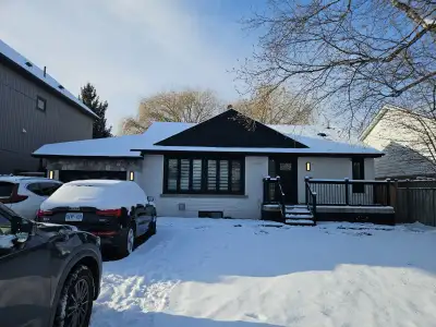 1 Bedroom spacious basement apartment Private entrance Large driveway Washer/Dryer (shared) availabl...