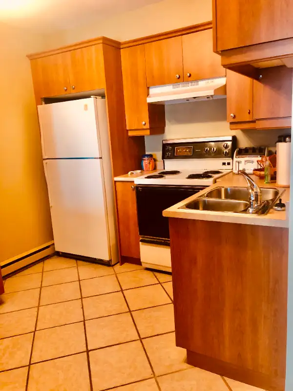 Beautiful bachelor apartment furnished by the lake62864759342337124