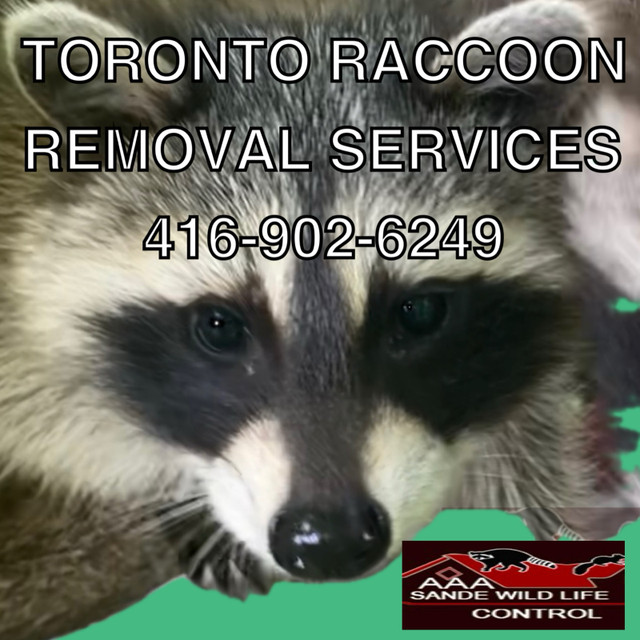 Wildlife Control Specialists/Greater Toronto Area in Other in City of Toronto - Image 2