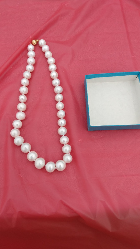 *Special* 14K Gold Necklace Buckle White Water Pearl Big Pearls in Other in Markham / York Region