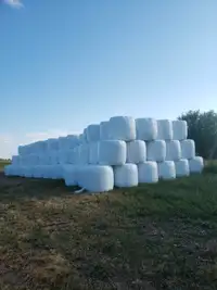 25 Wrapped grass bales