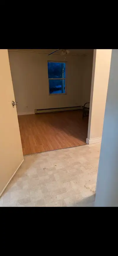 Spacious two bedroom apartment for rent Close to downtown, college, grocery store, river front. $150...