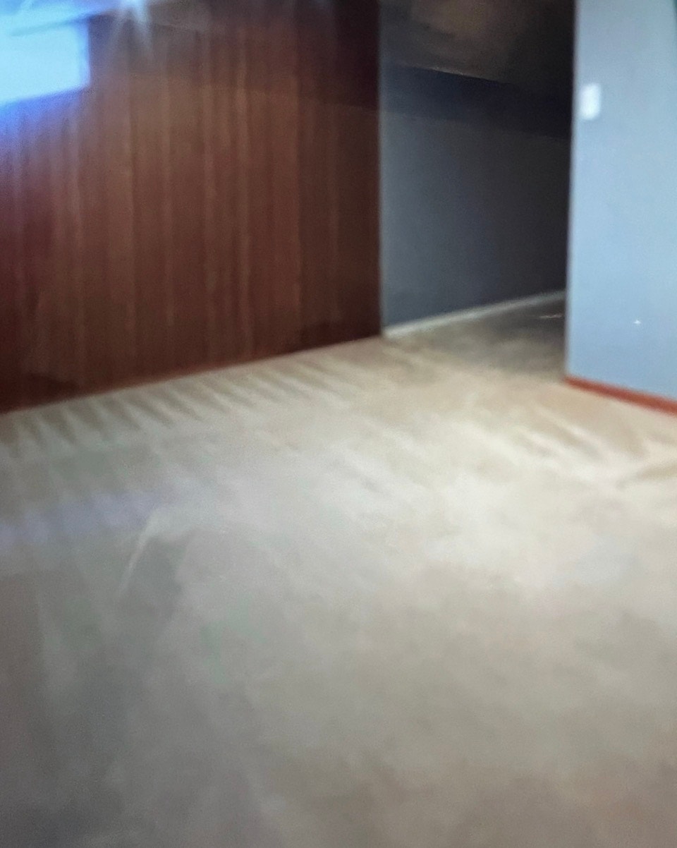 Basement Suite Marlborough! 3