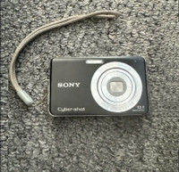 Sony Cyber-Shot DSC-W190 12.1MP 3x Digital Camera Black