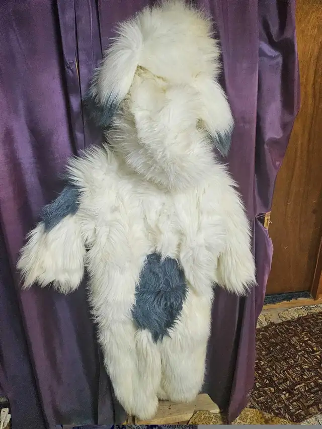 Costume Chien pour enfant 6-7 ans in Costumes in Sherbrooke - Image 5