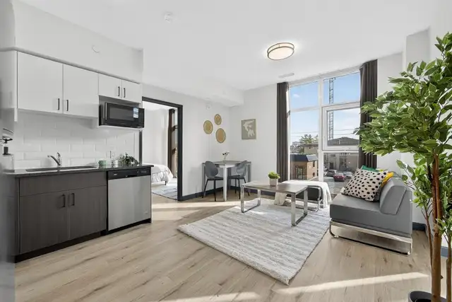 Live Steps from Campus + 2 MONTH'S RENT FREE PROMO! in Long Term Rentals in Kitchener / Waterloo - Image 6