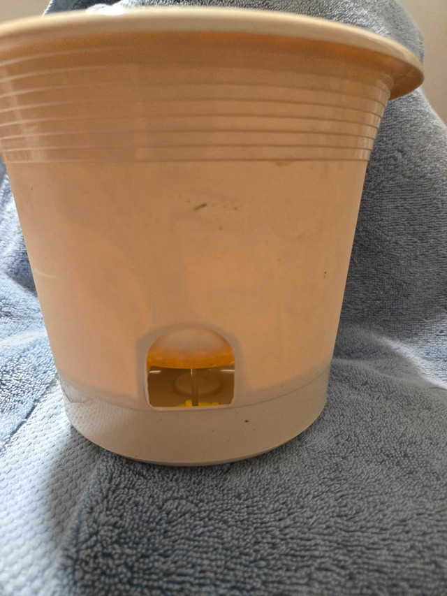plant hangers,self watering pots in Plants, Fertilizer & Soil in Chatham-Kent - Image 2