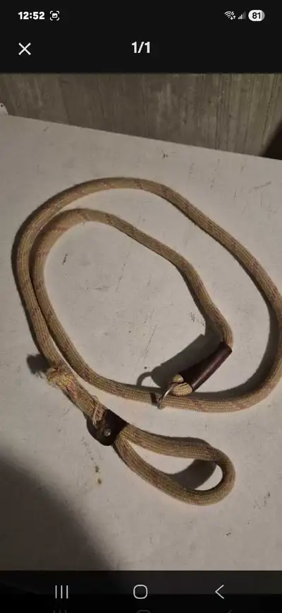 Dog training leash, View more