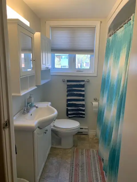 Perfect IR Property!  Furnished 1 bed, 1 bath close to base! in Long Term Rentals in Petawawa - Image 3