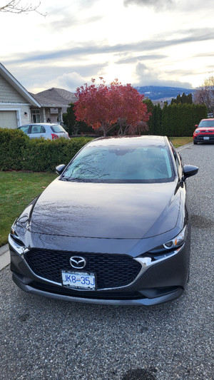 2019 Mazda 3 GX