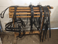 Leather Team Carriage Harness