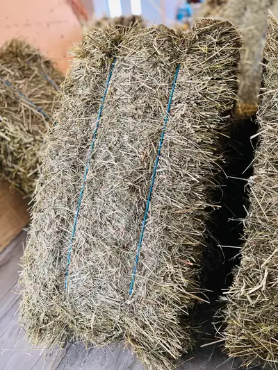 Foin écologique-coupe de 2025 pour lapin,cochon d’Inde,autres an, View more