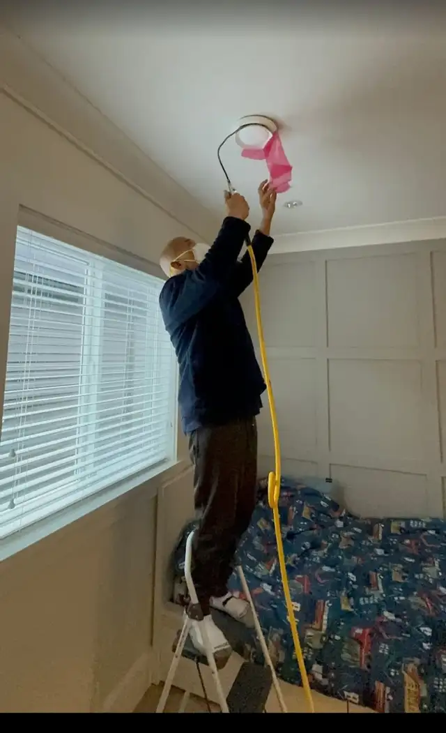 Carpet Cleaner, Duct cleaning, Carpet cleaning, Steam 6479056121628637198150411222